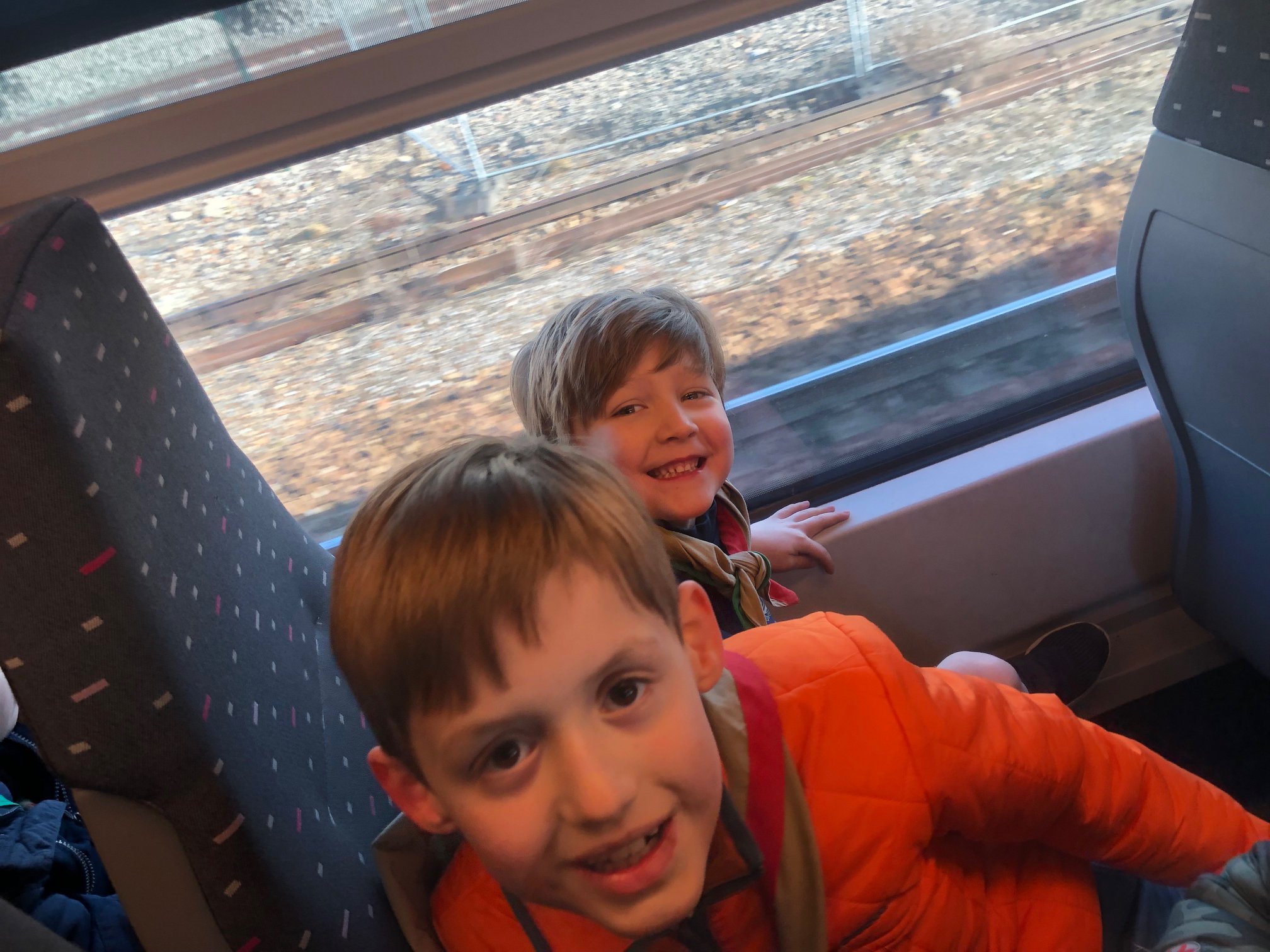 Sint-Martinus den XIIde - Zoo Antwerpen Kapoenen